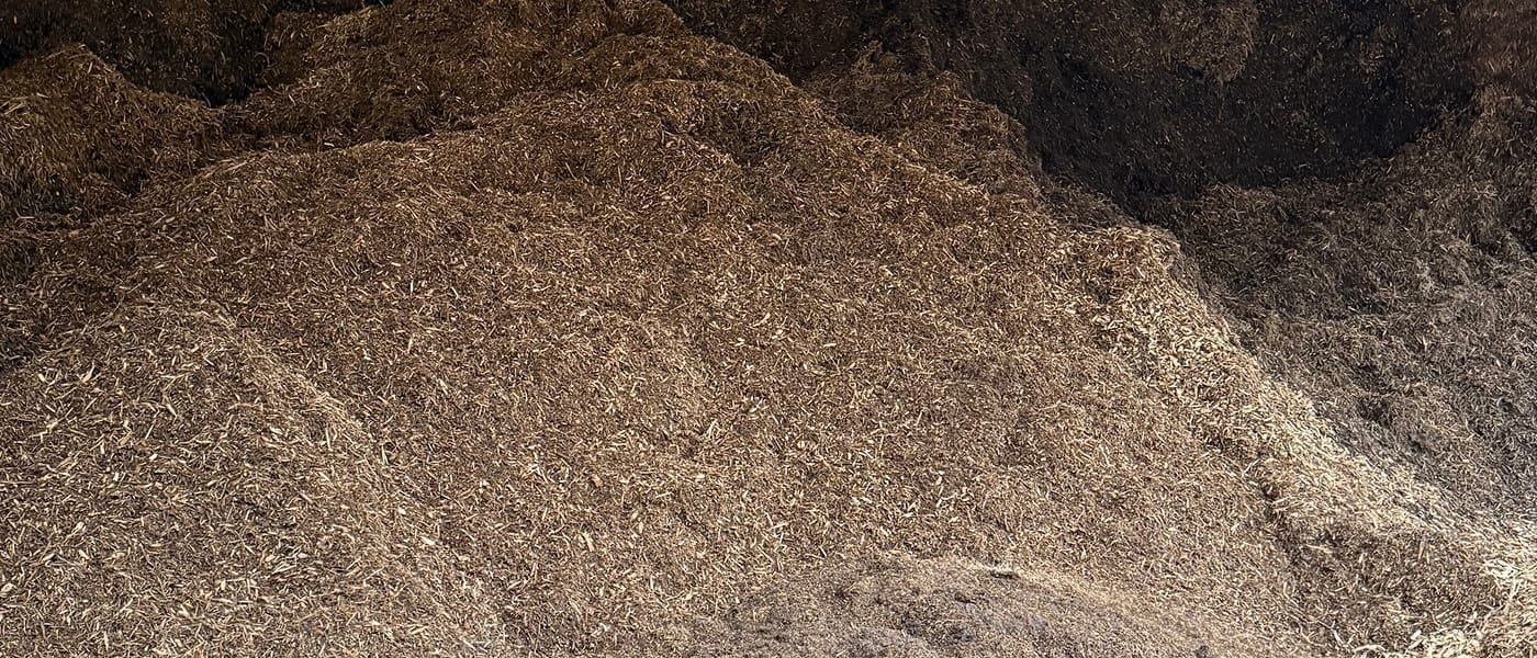 バイオマス燃料