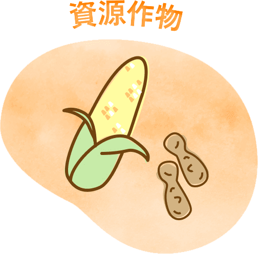 エルファームはコレ！