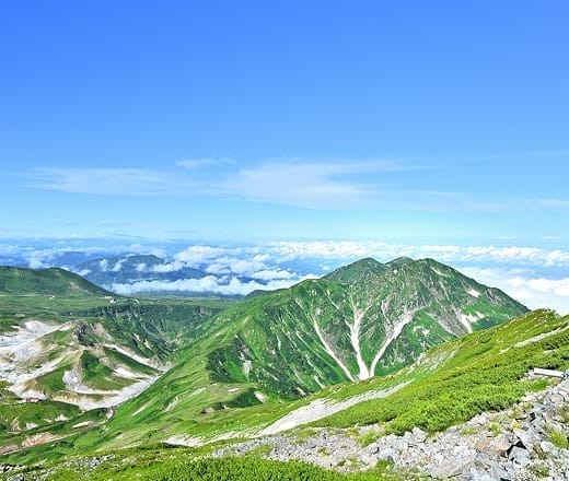 流木の回収・再生
