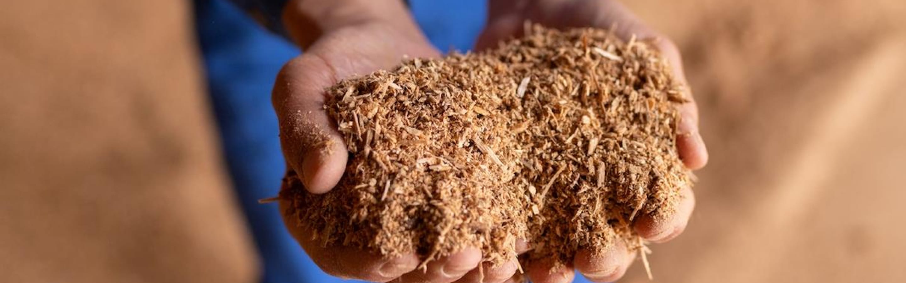 バイオマス燃料