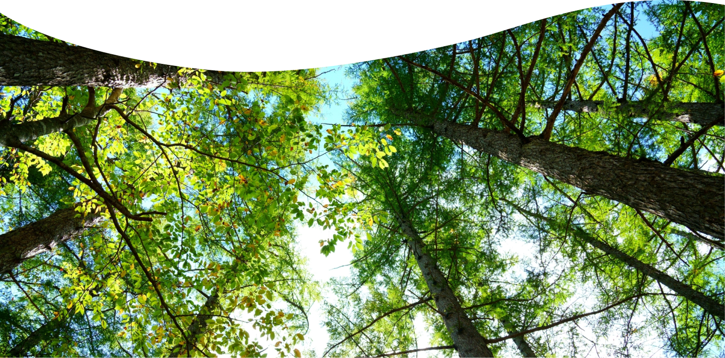 大自然の中で育まれた生命が