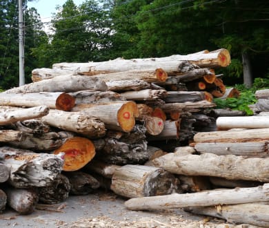 未利用天然木質資源（ダム流木）利用サイクル