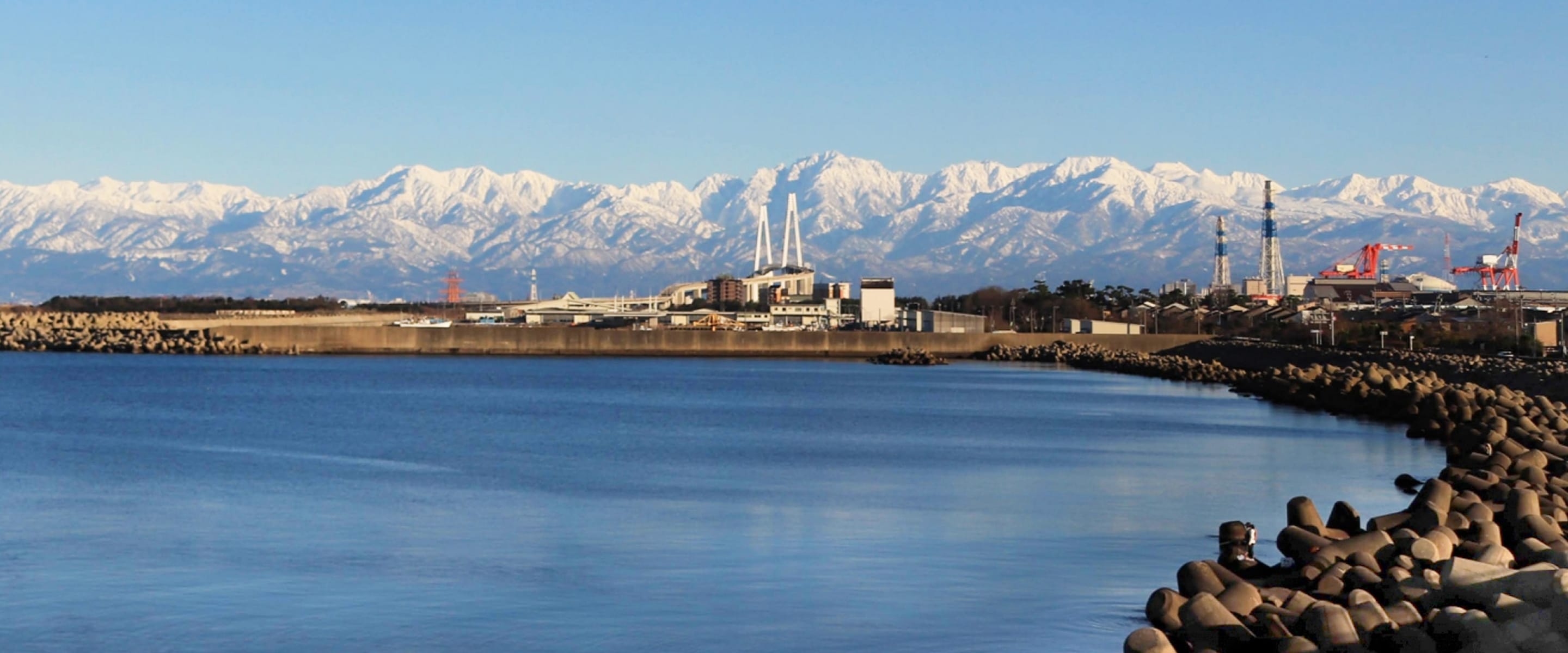 バイオリージョン構想