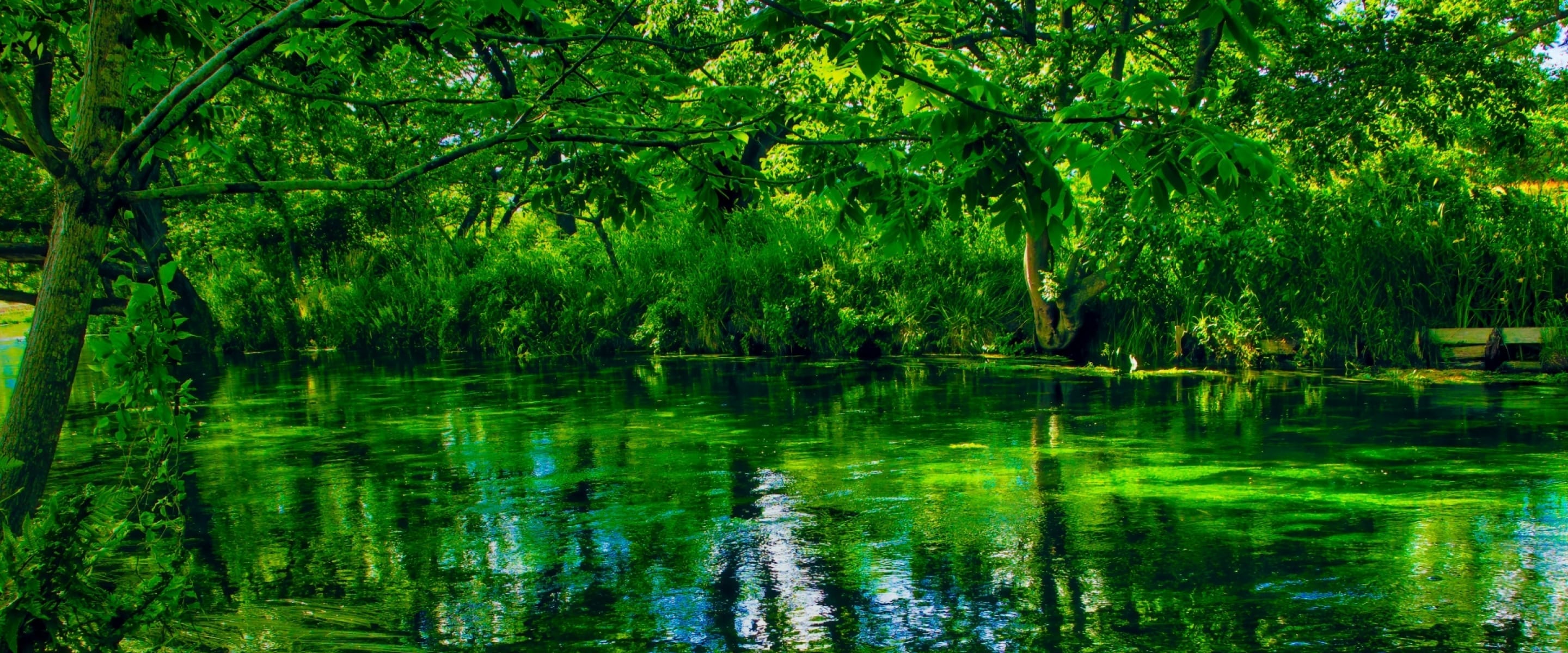 流木が結ぶ、まちと地球
