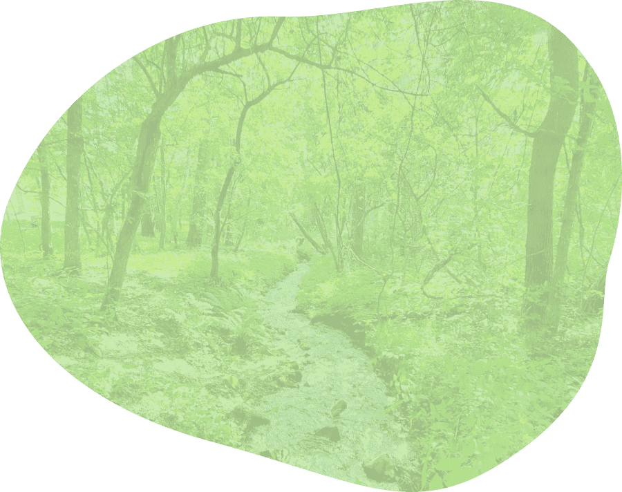 バイオリージョン構想