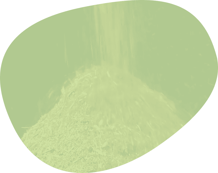 バイオマス燃料