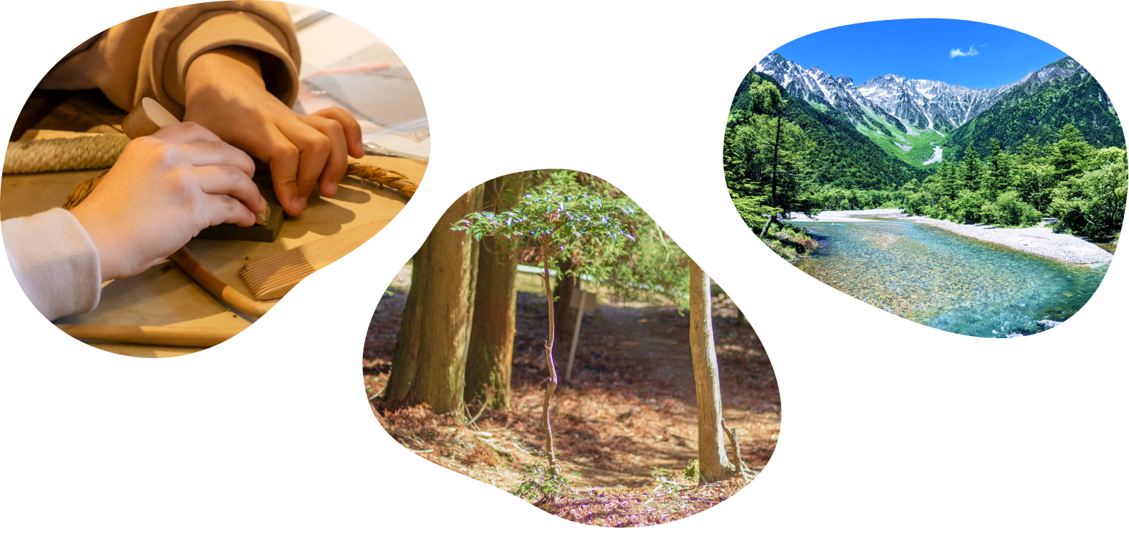 流木が結ぶ、まちと地球