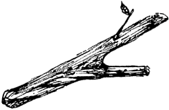 地球をめぐる物語：流木の旅