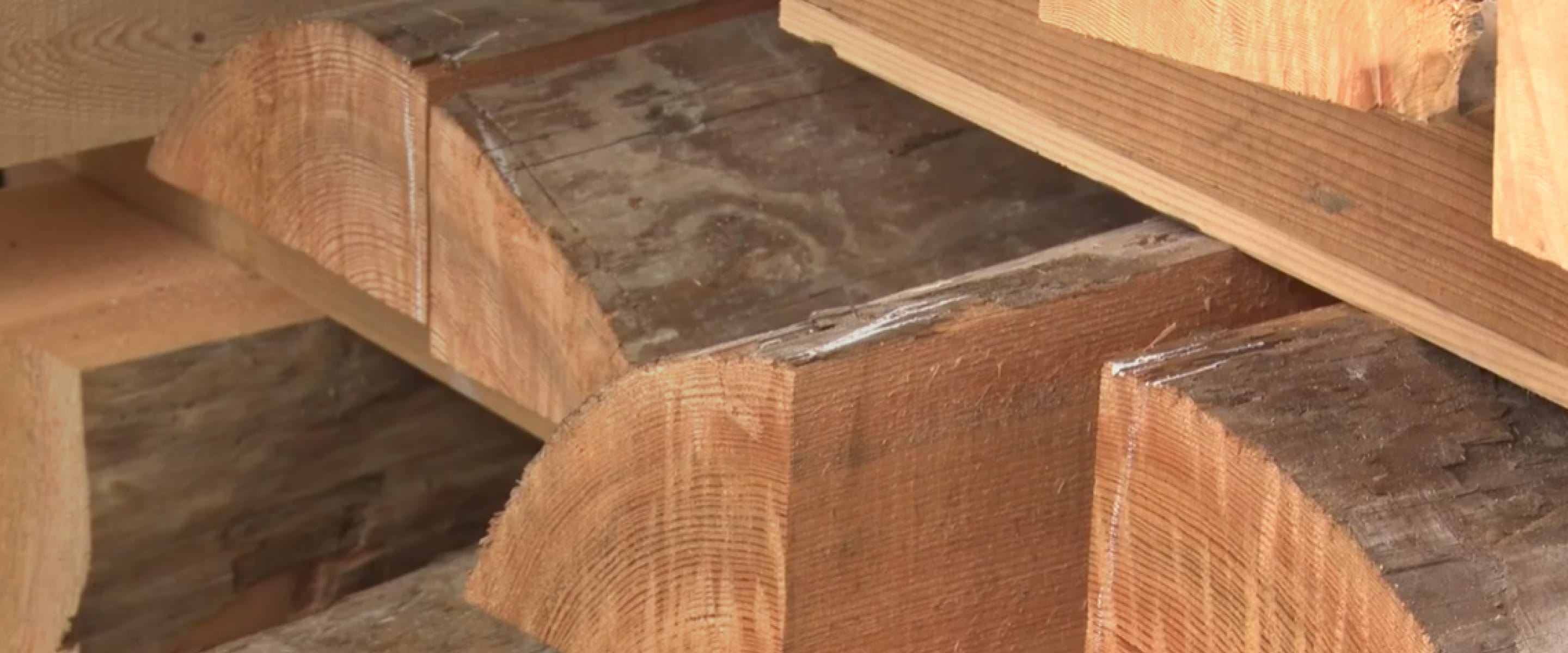 ”流木”を未来の資源へつなぐ