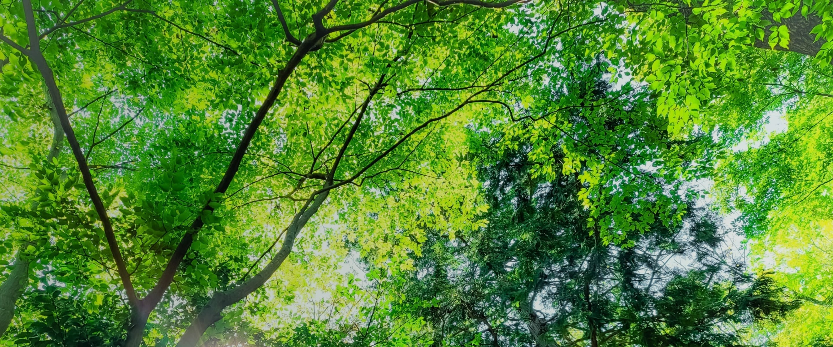 バイオリージョンサポートカンパニー