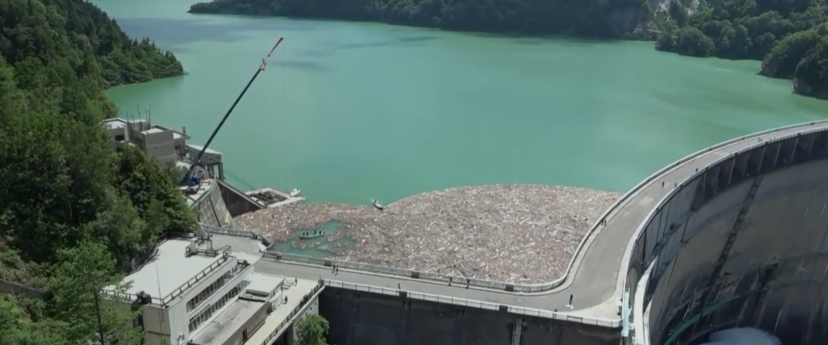 地域から未来へつなぐ、めぐる流木のStory 