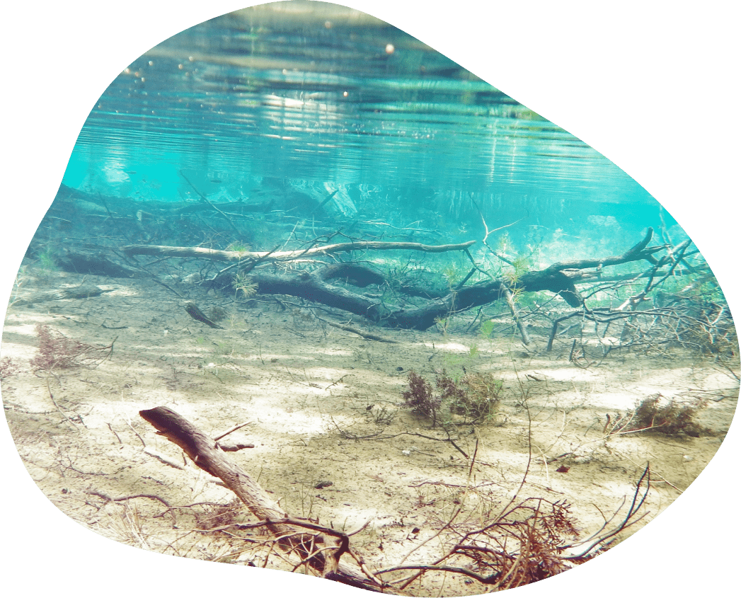 はじまりは、自然の営みから—