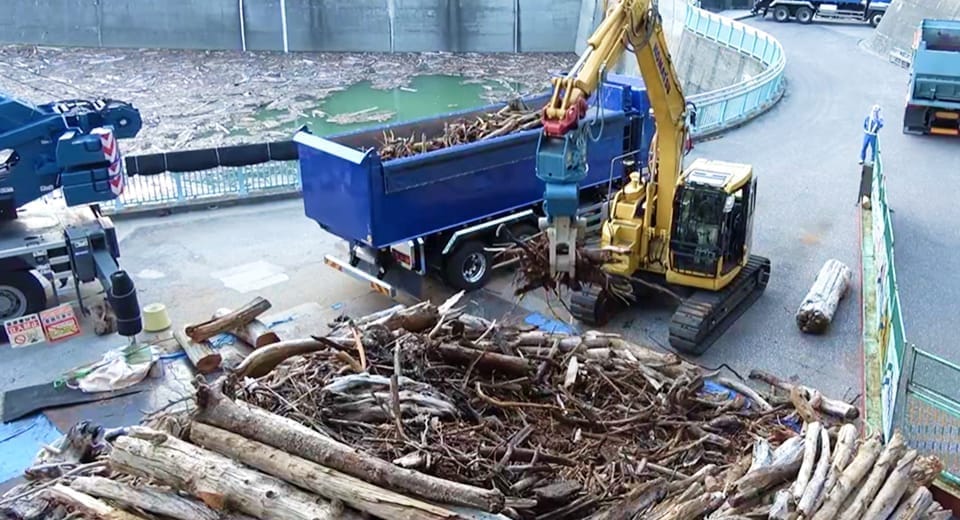 流木の旅を見届けてみませんか