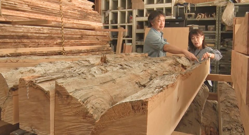 流木の旅を見届けてみませんか