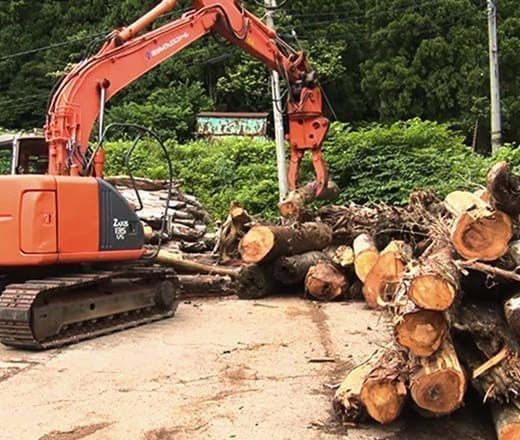 流木の回収・再生