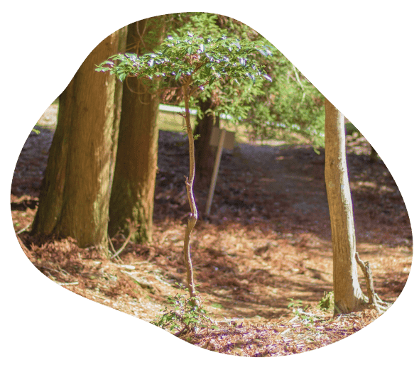 イベント・メディア取材について