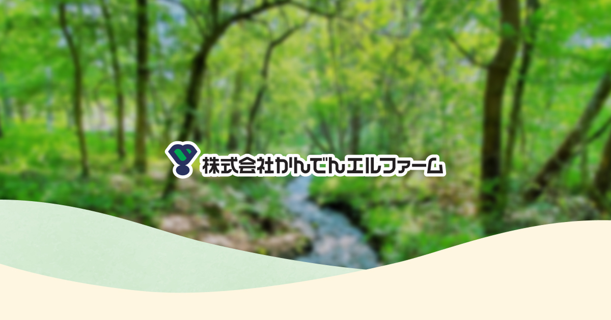 流木で手づくりするクリスマスツリー