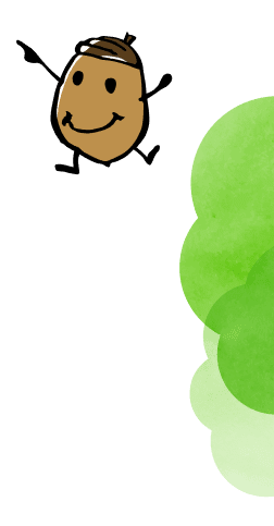 流木と発電の意外な関係