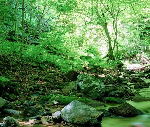地域の暮らしに還元するかんでんエルファーム構想